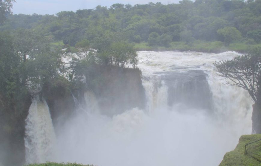 10 Days Experience Uganda’s Exclusive Gorillas and Wildlife ( Private tour)