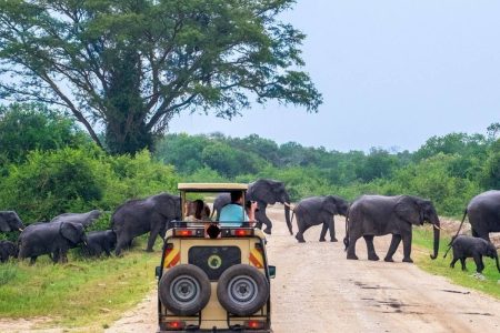 Uganda adventure safari: Gorilla, Chimp, Wildlife & adventure tour