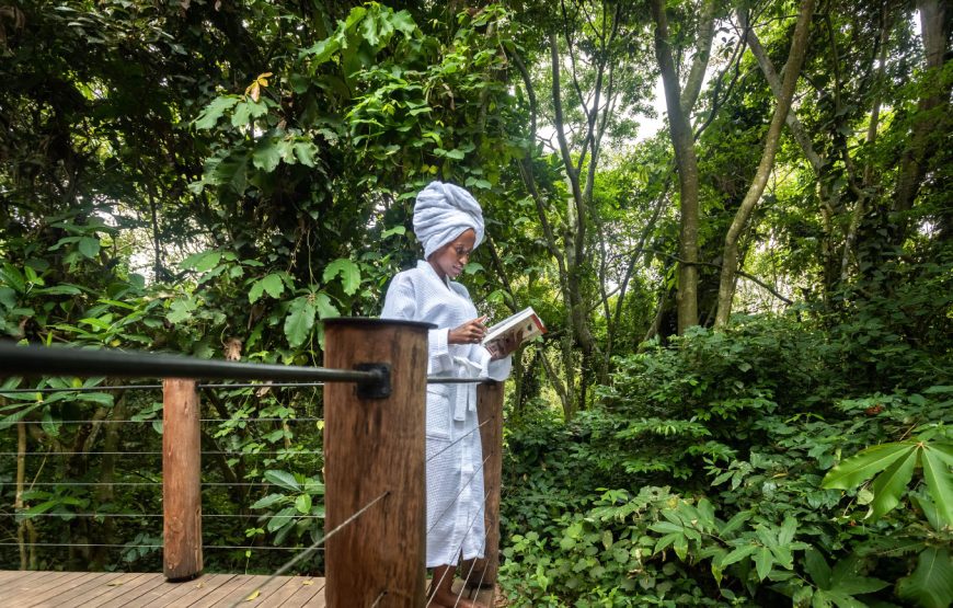 Entebbe Forest Lodge