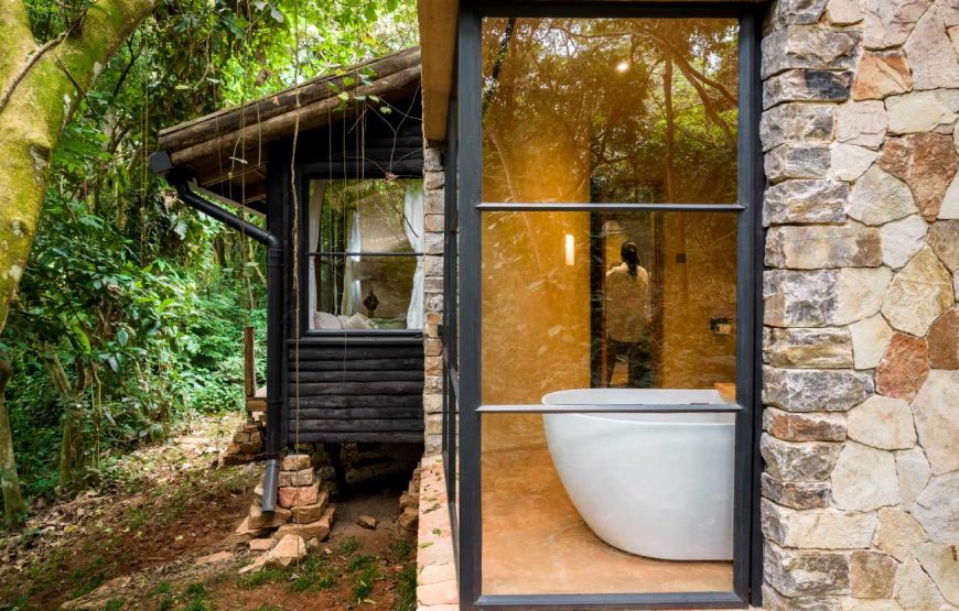 Entebbe Forest Lodge